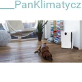 Oczyszczacz powietrza Alfda ARL160 COMFORT