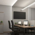 IPP CLASSIC  Black panel grzewczy na podczerwień (ścienno-sufitowy, czarny), grzejnik promiennikowy